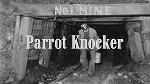 Parrot Knocker